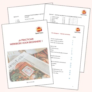 ¡A practicar! Werkboek Beginners 1